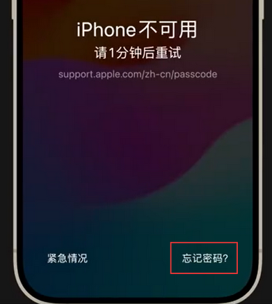 钦州苹果手机密码维修分享iPhone忘记了刚设置的密码 