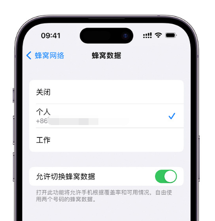 钦州苹果维修服务分享如何在iPhone上使用双卡 